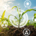 Environmental Accountability: The New Standard for Modern Agribusiness