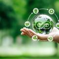 How Sustainable Practices Improve Profitability and Resilience