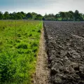 How Regenerative Farming Revives Biodiversity Above and Below Ground